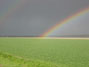 landschap