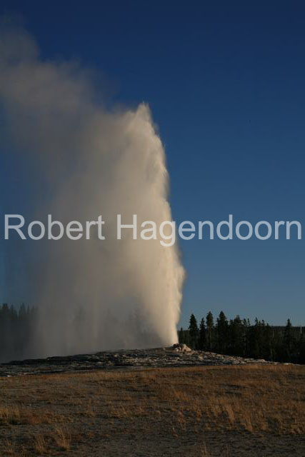 yellowstone